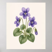Veilchen Botanik, Februar-Geburtsblume Poster (Vorne)