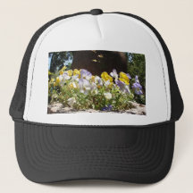 Veilchen in einem Steintrog.