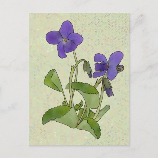 Veilchen Postkarte (Vorderseite)