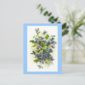 Veilchen Postkarte (Stehend Vorderseite)