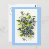 Veilchen Postkarte (Vorne/Hinten)