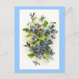 Veilchen Postkarte