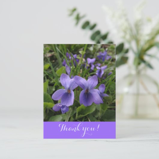 Veilchen Postkarte (Stehend Vorderseite)