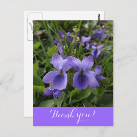 Veilchen Postkarte (Vorne/Hinten)