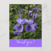 Veilchen Postkarte (Vorderseite)