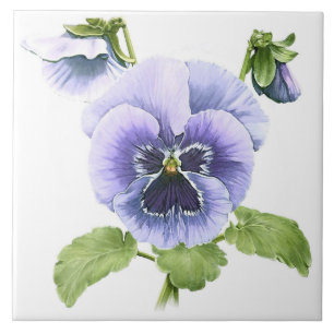 Veilchen Stiefmütterchen Blumen Botanische Kunst Fliese