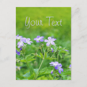 Veilchenblumen auf dem Feld Postkarte
