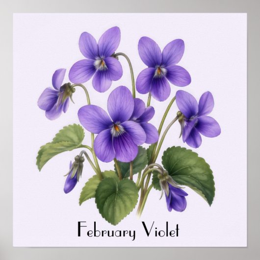 Veilchenblüten im Februar Poster (Vorne)