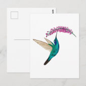 Veilchenohrkolibri Postkarte (Vorne/Hinten)