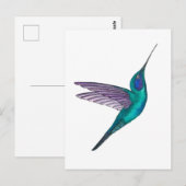 Veilchenohrkolibri Postkarte (Vorne/Hinten)