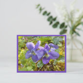 Veilchenpostkarte Postkarte (Stehend Vorderseite)