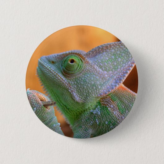Veiled Chameleon Button (Vorderseite)