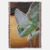 Veiled Chameleon Decke (Vorderseite Vertikal)
