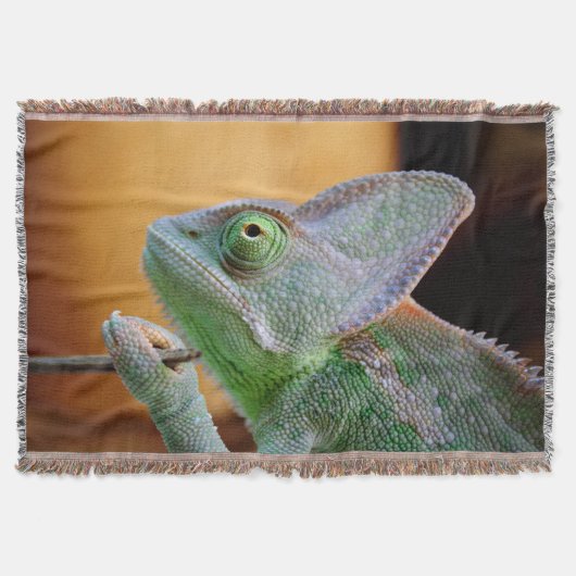 Veiled Chameleon Decke (Vorderseite)