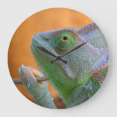 Veiled Chameleon Große Wanduhr (Vorderseite)