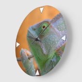 Veiled Chameleon Große Wanduhr (Winkel)