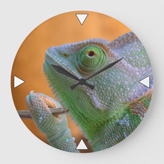 Veiled Chameleon Große Wanduhr (Vorderseite)