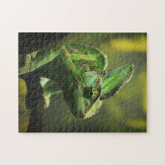 Veiled Chameleon jigsaw Puzzle (Horizontal)