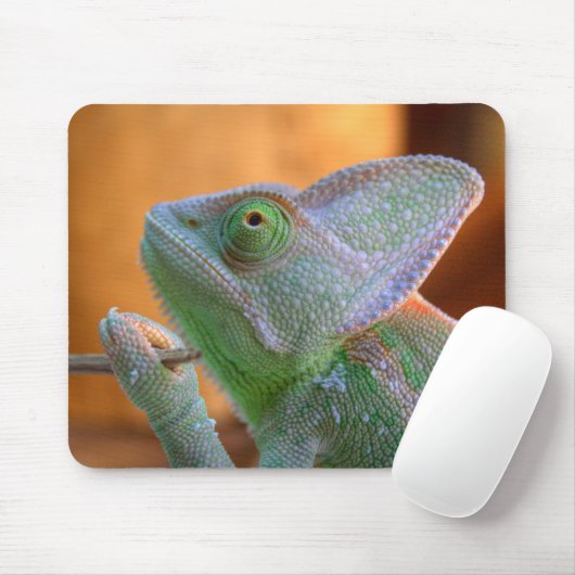 Veiled Chameleon Mousepad (Mit Mouse)