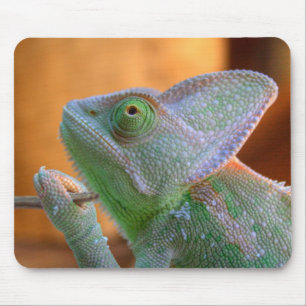 Veiled Chameleon Mousepad