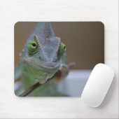Veiled Chameleon Mousepad (Mit Mouse)