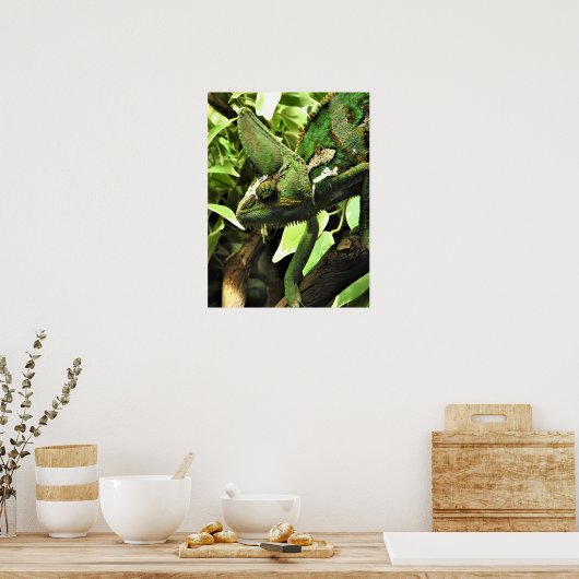 Veiled Chameleon Poster (Küche)