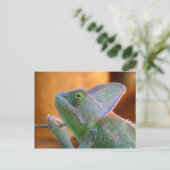 Veiled Chameleon Postkarte (Stehend Vorderseite)