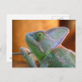 Veiled Chameleon Postkarte (Vorne/Hinten)
