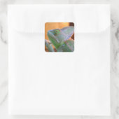 Veiled Chameleon Quadratischer Aufkleber (Tasche)