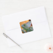 Veiled Chameleon Quadratischer Aufkleber (Umschlag)