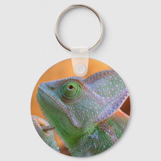 Veiled Chameleon Schlüsselanhänger (Vorderseite)