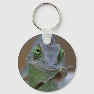 Veiled Chameleon Schlüsselanhänger