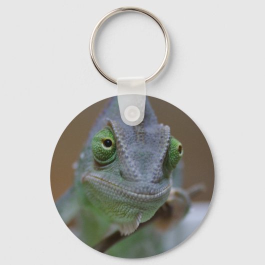Veiled Chameleon Schlüsselanhänger (Vorderseite)