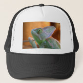 Veiled Chameleon Truckerkappe (Vorderseite)