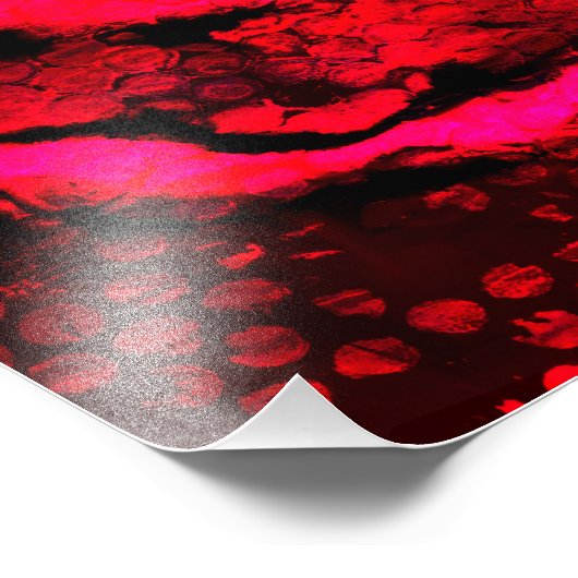 Veins of Hell Poster (Ecke)