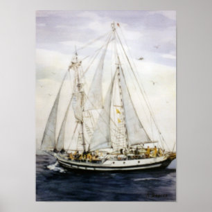 Velero/Veleiro/Sailboat Poster