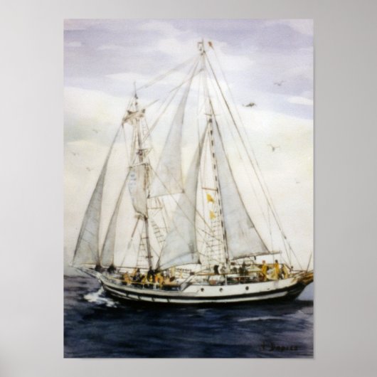 Velero/Veleiro/Sailboat Poster (Vorne)