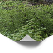 Veliki Slap (Wasserfall) Plitvice Seen National Poster (Ecke)