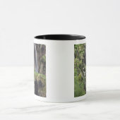 Veliki Slap (Wasserfall) Plitvice Seen National Tasse (Zentrum)