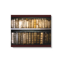 Vellum Bindings Antique books Leinwand