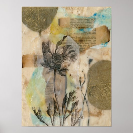 Vellum floral II Poster (Vorne)