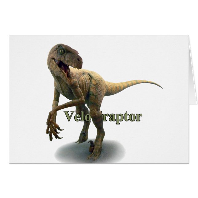 Velociraptor (Vorderseite (Horizontal))