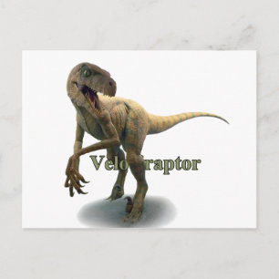 Velociraptor (Begriffsklärung) Postkarte