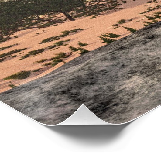 Velociraptor dinosaur - 3D rendern Poster (Ecke)