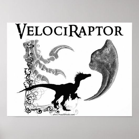 Velociraptor Poster (Vorne)