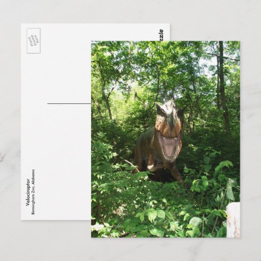 Velociraptor Postkarte (Vorne/Hinten)
