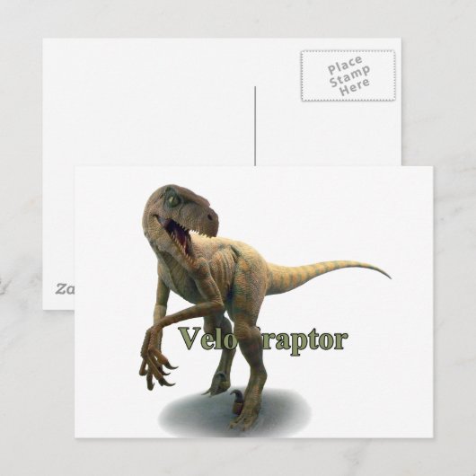 Velociraptor Postkarte (Vorne/Hinten)