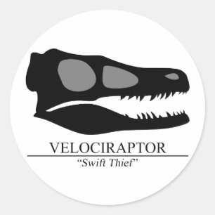 Velociraptor-Schädel Runder Aufkleber