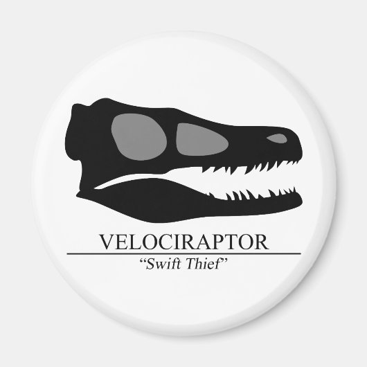 Velociraptor Skull Magnet (Vorne)