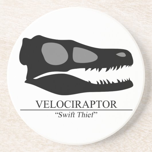 Velociraptor Skull Sandstein Untersetzer (Vorne)